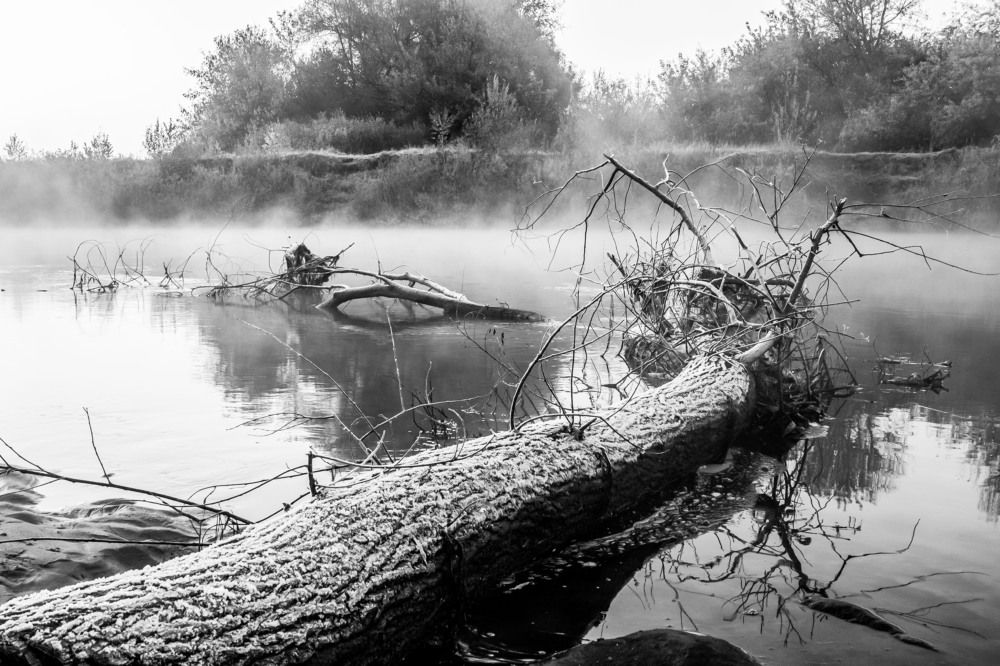 Осеннее утро на реке