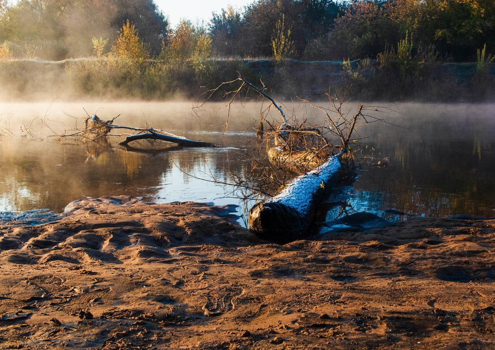 Photograph by Сергей Викулов