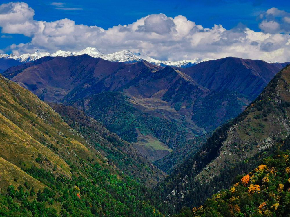 Photograph by Дмитрий Ронжин