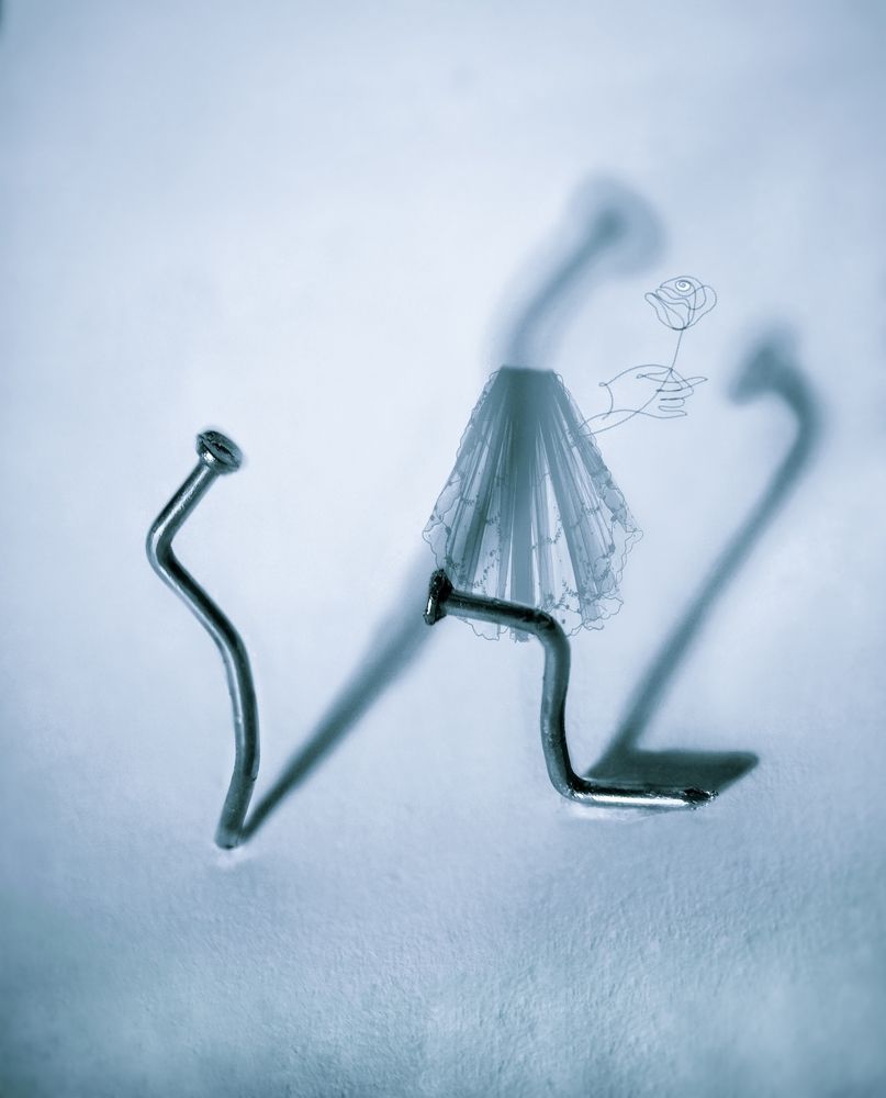 Любовь!    Из жизни гвоздей...