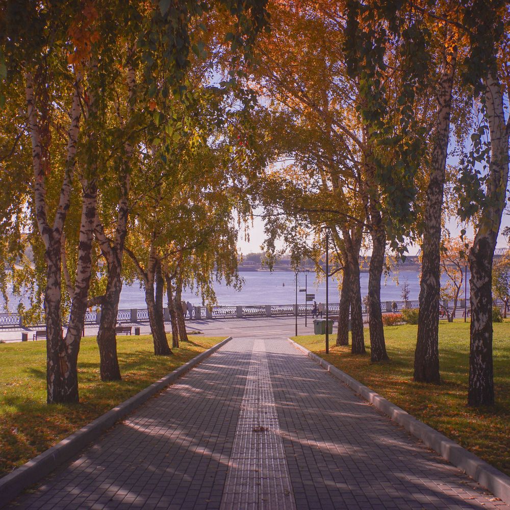 Фотография автора 
