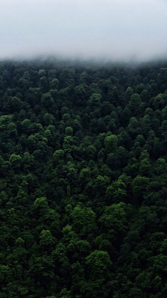 Photograph by Ebrahim Mizani