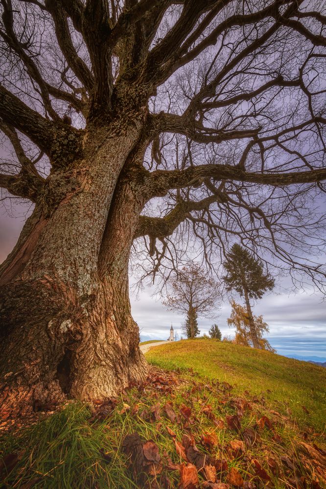 Photograph by Alain Veldin