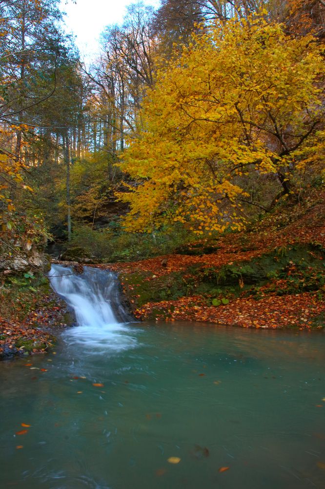 Photograph by Виктория Бережок