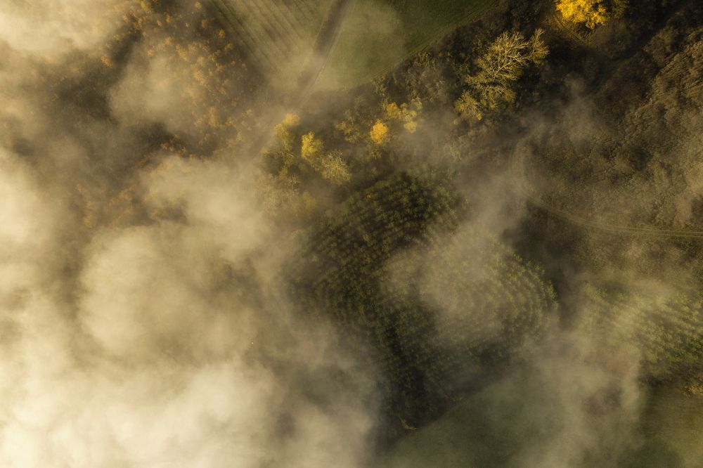 Фотография автора Csépe Róbert