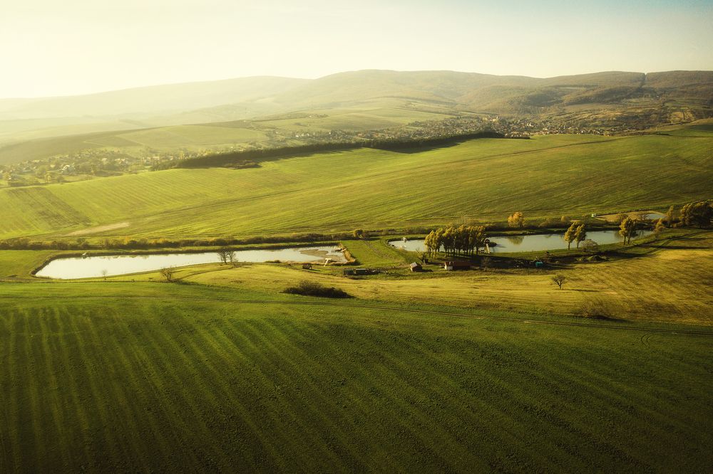 Фотография автора Csépe Róbert