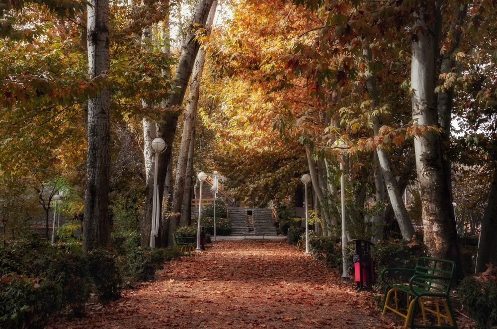 Photograph by Javad zavvar