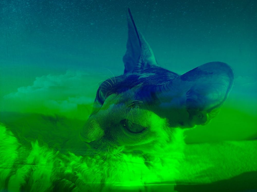 Photograph by Helena