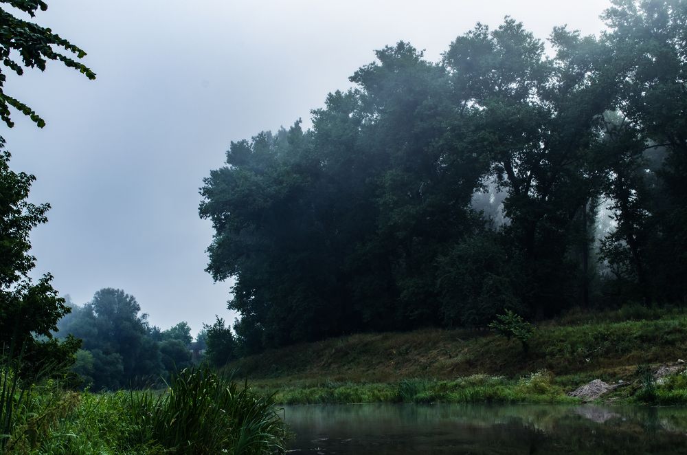 Photograph by Андрей Баранчук