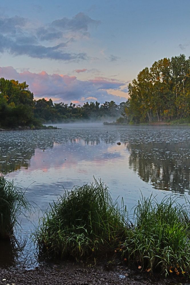 Фотография автора Веста Ягужинская