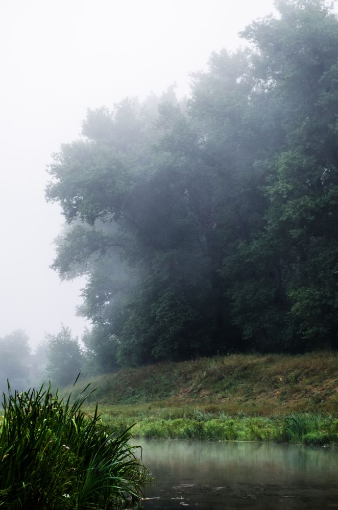 Photograph by Андрей Баранчук