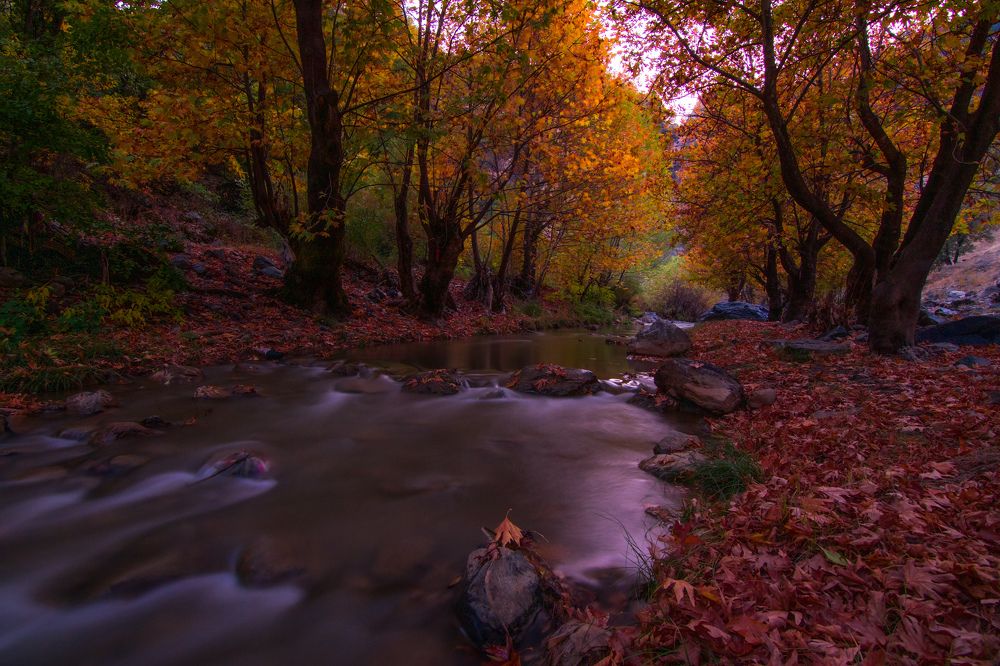 Фотография автора Alipour mohammad