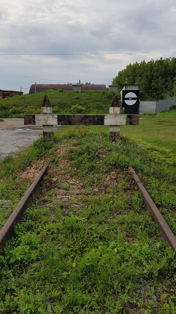 Photograph by Евгения