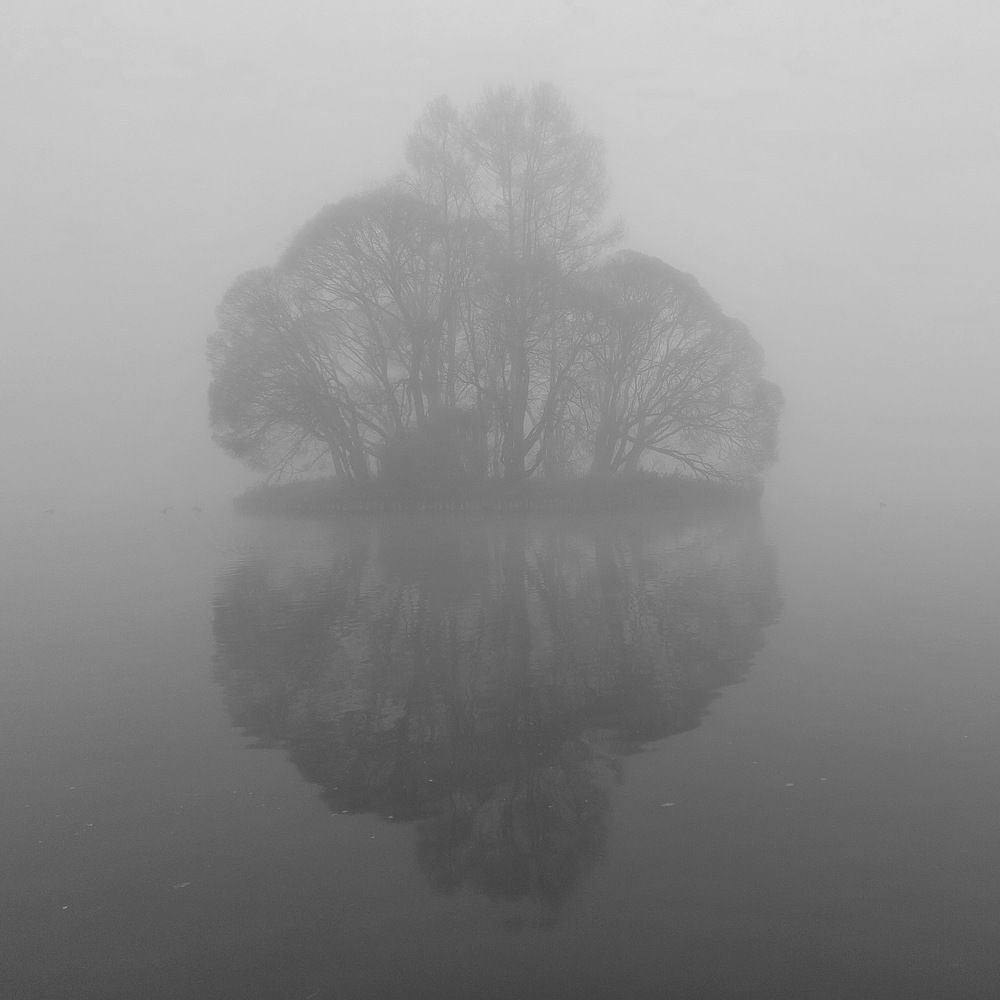 Photograph by Владимир Брагилевский