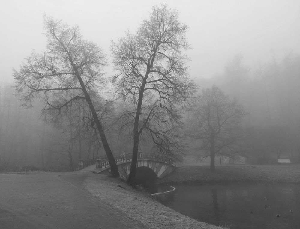 Photograph by Владимир Брагилевский