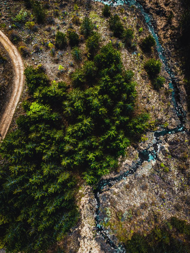 Photograph by Dimitrije Todorovic