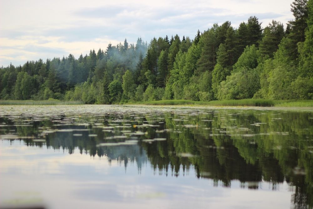 Photograph by Елена Петрова