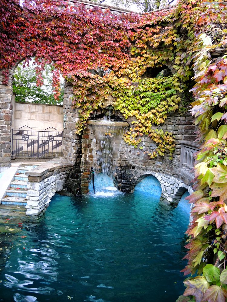 Photograph by София Гавриловна Вотякова