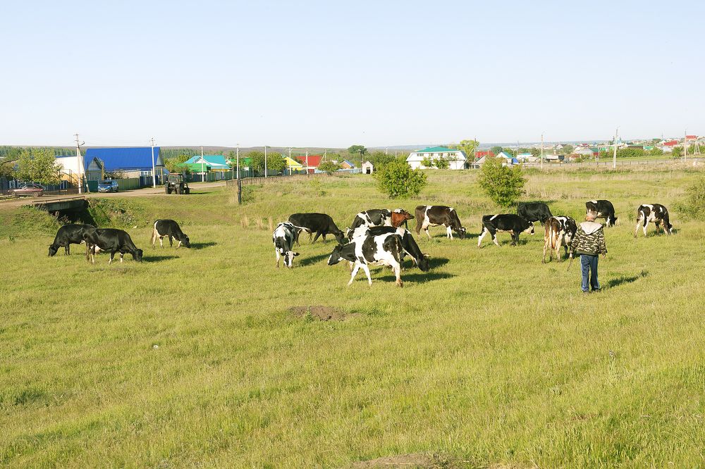 Фотография автора Рамиль Фаттахов