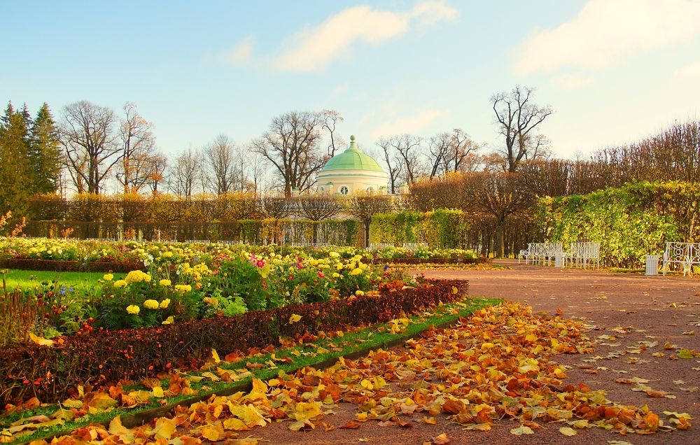 Краски осени