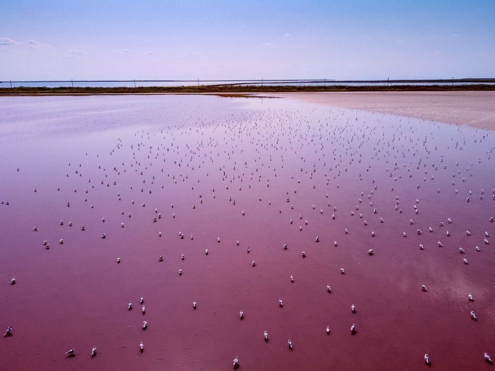 В поисках лемурийского озера