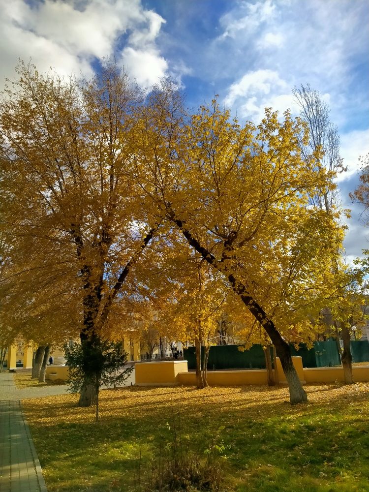 Photograph by Елена Чурынина