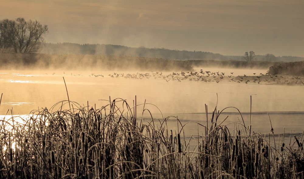 Раннее утро