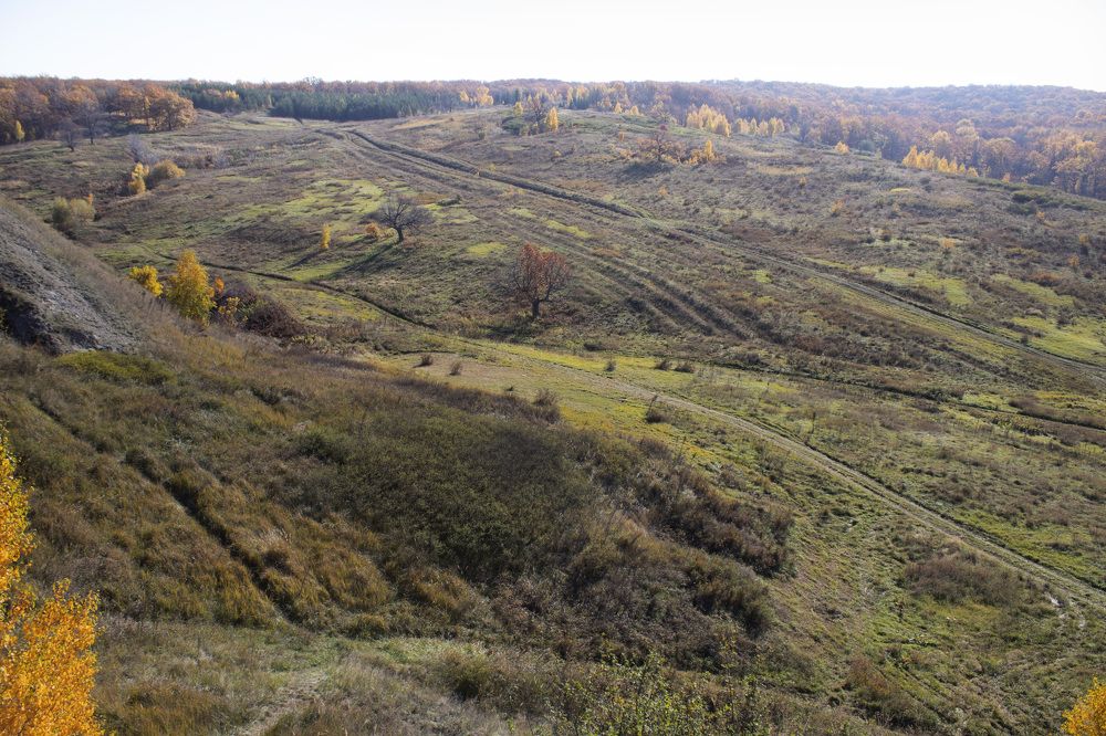 Фотография автора Веста Ягужинская