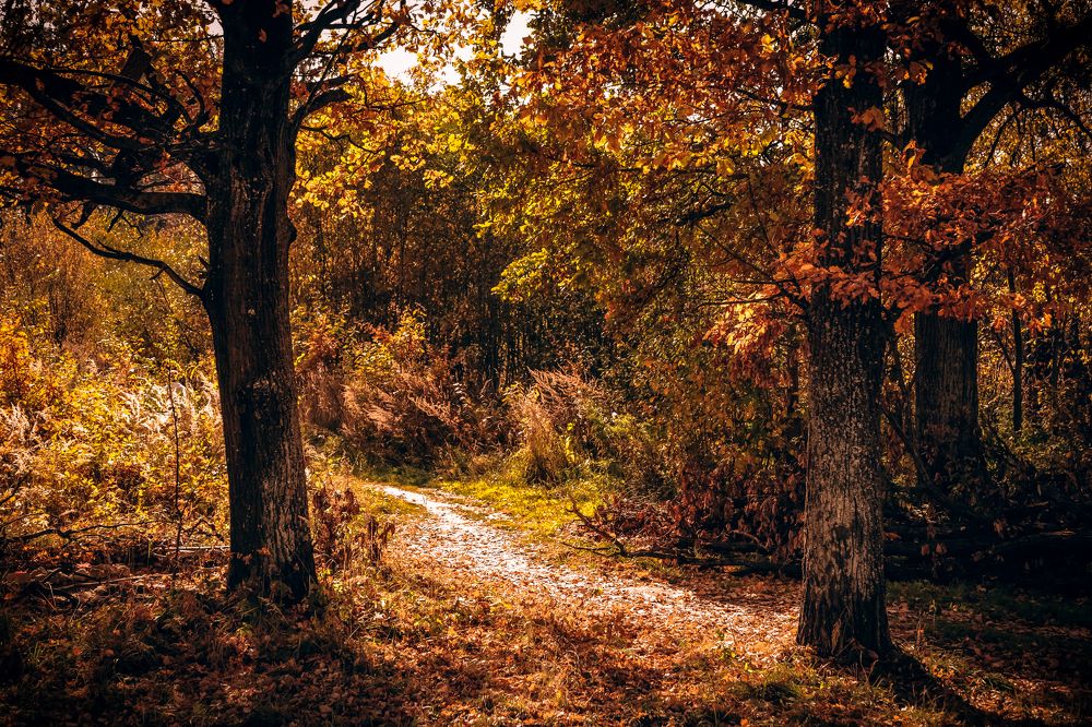 Photograph by Ольга Казакова