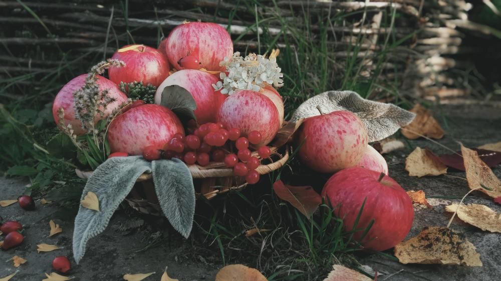 Photograph by Олеся Кузнецова