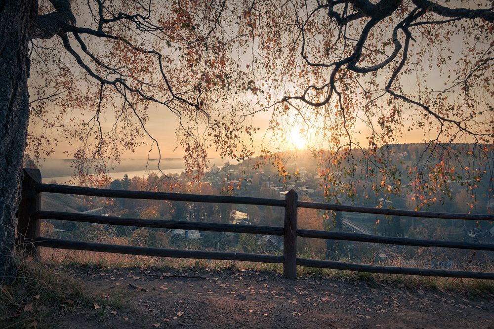 Фотография автора Андрей Чиж