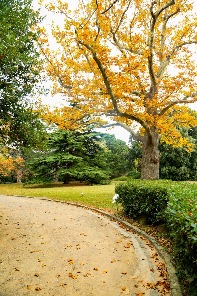 Photograph by Мария Ткаченко