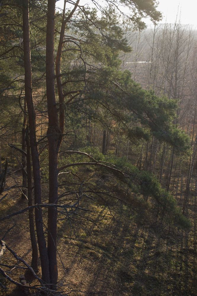 Photograph by Майя Чехова