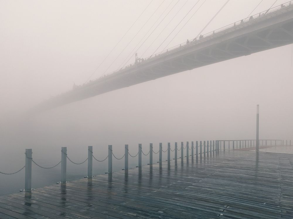 Photo #6698120