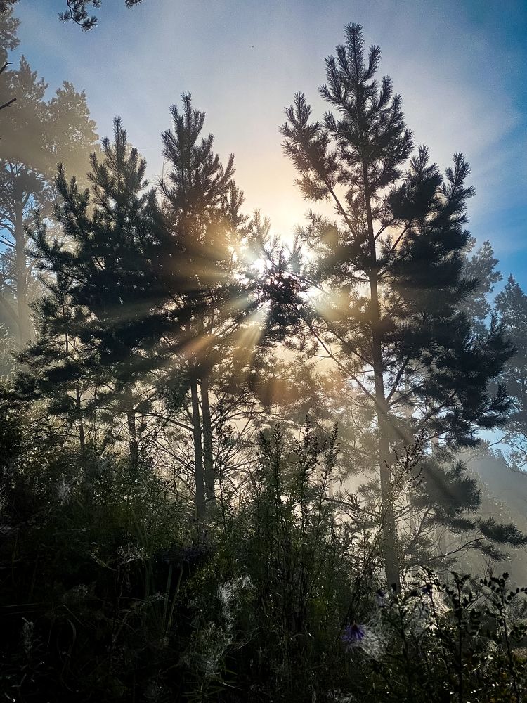 Photograph by Оксана Алейникова