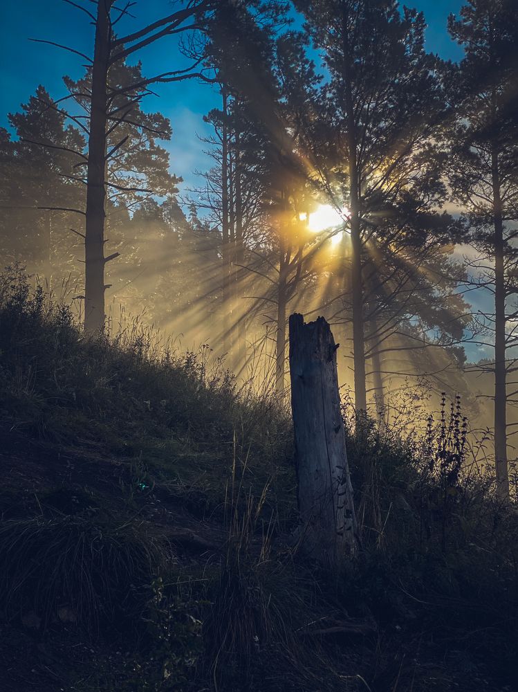 Photograph by Оксана Алейникова