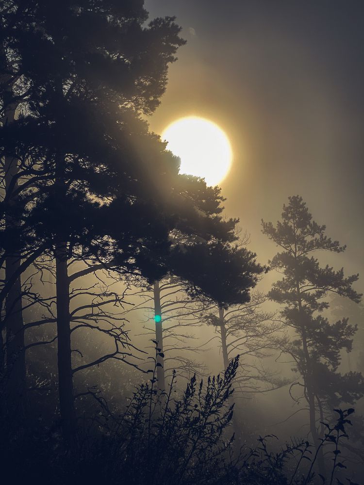 Photograph by Оксана Алейникова