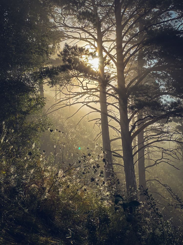 Photograph by Оксана Алейникова