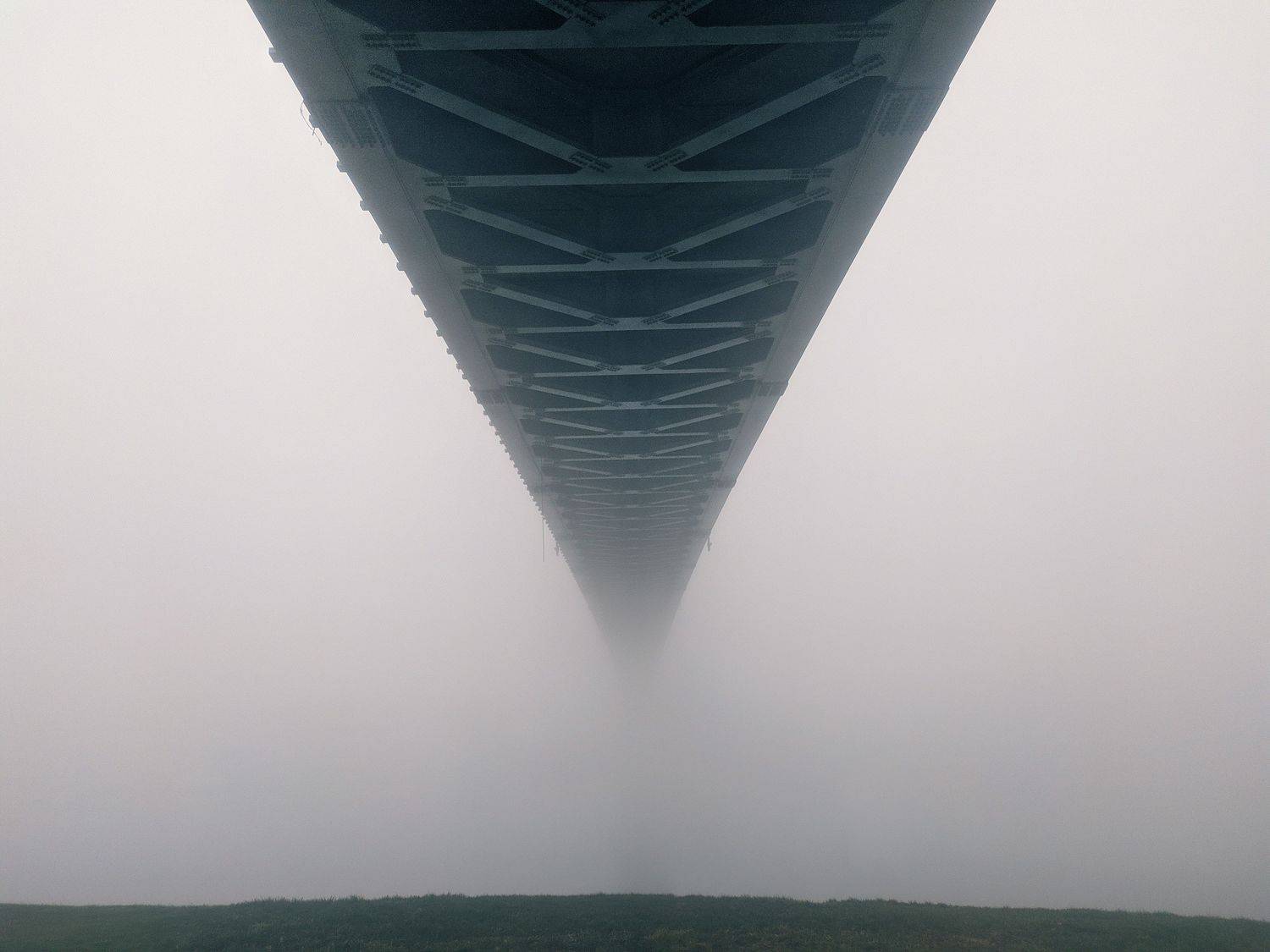 Photo #6698165