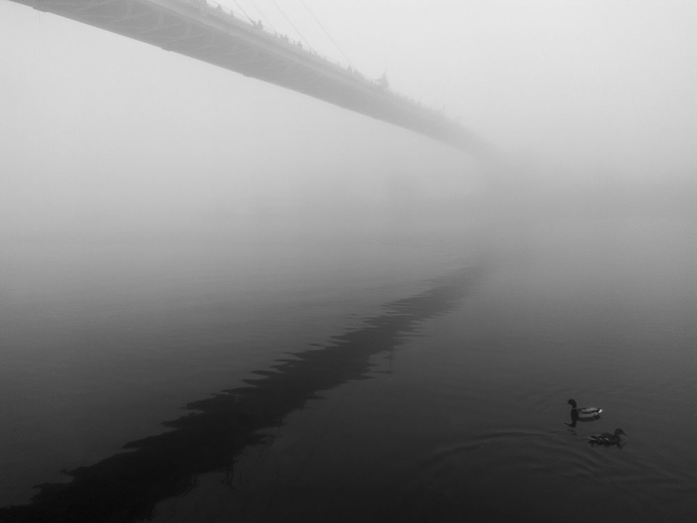 Photograph by Юрий Ким-Серебряков