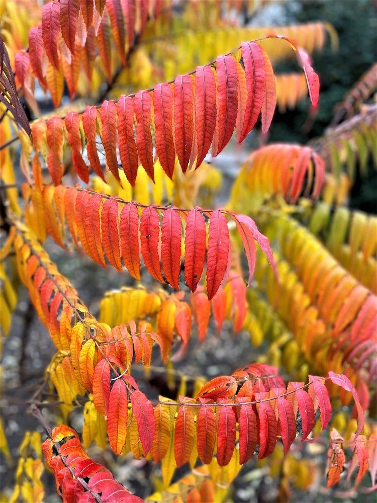 Photograph by Виктор