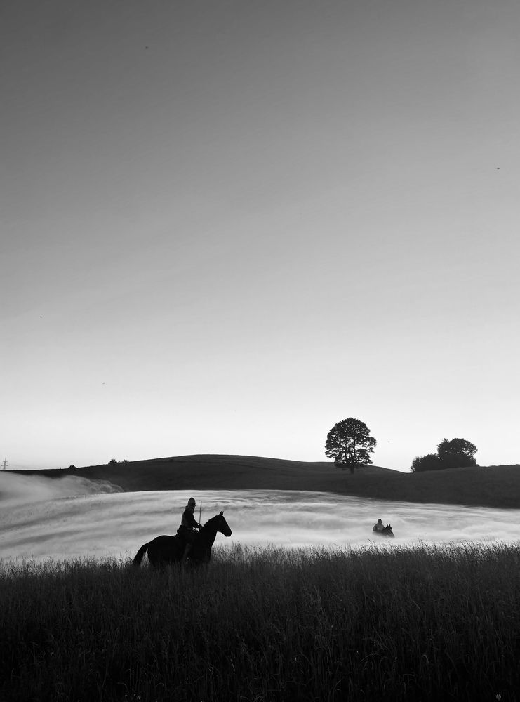 Photograph by Laura Simanaviciute