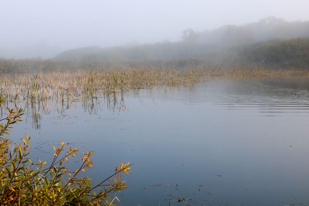 Photograph by Надежда Зайцева