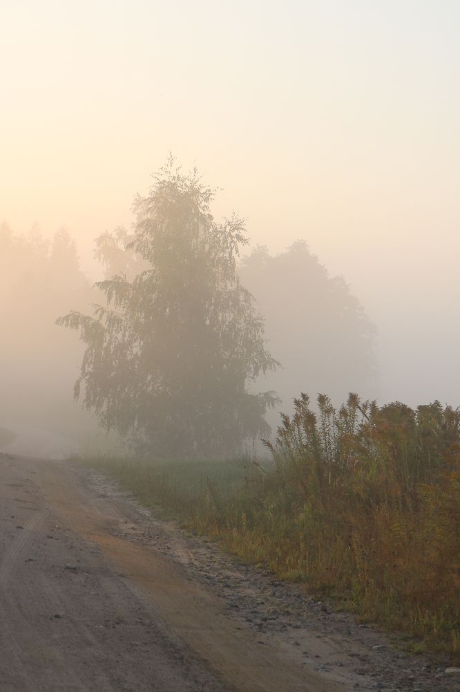 Photograph by Надежда Зайцева