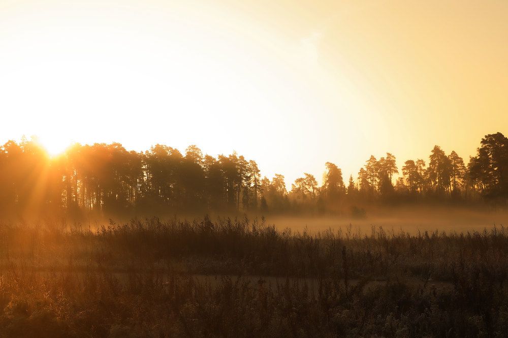 Photograph by Ирина Столбовая