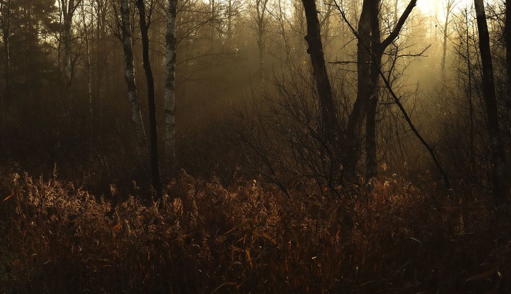 Photograph by Ирина Столбовая