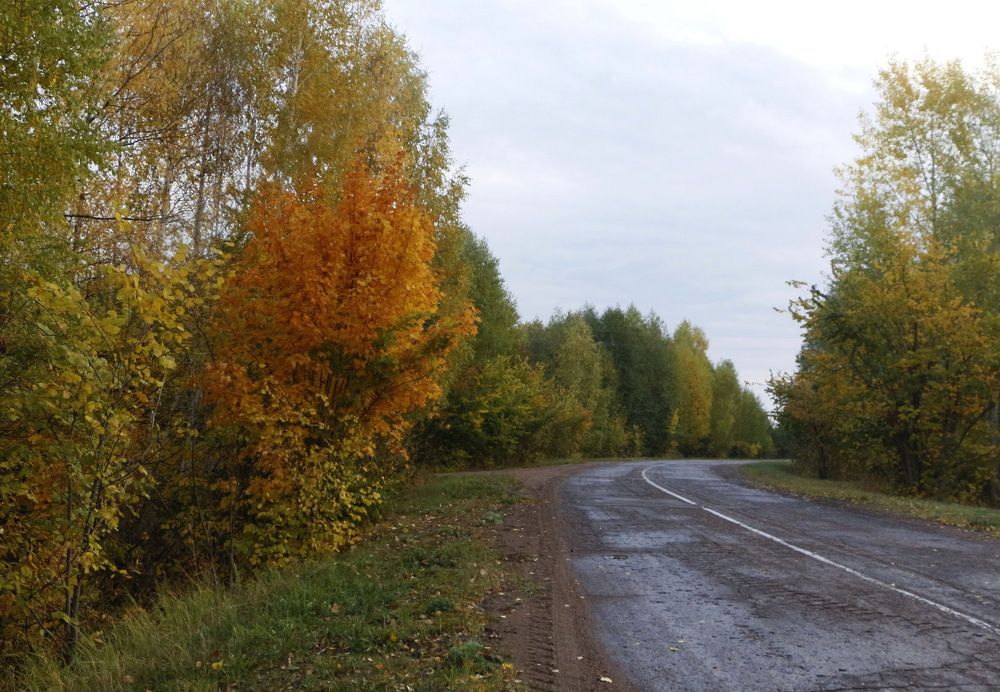 Осенняя дорога