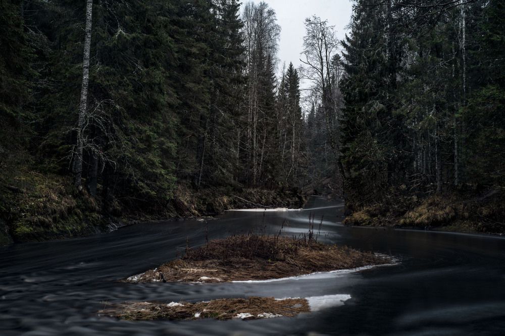 Photograph by Михаил Четвертков