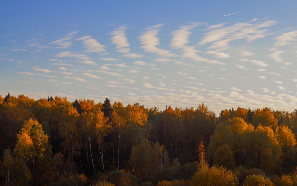 Photograph by Петрова Екатерина