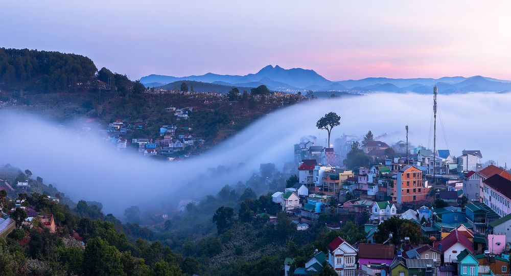 Photograph by Ga Nguyen Ngoc